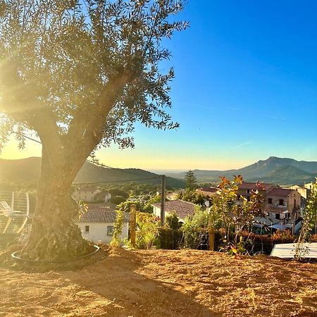 Bella Vita Calenzana Esterno foto