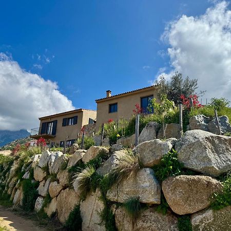 Bella Vita Calenzana Esterno foto