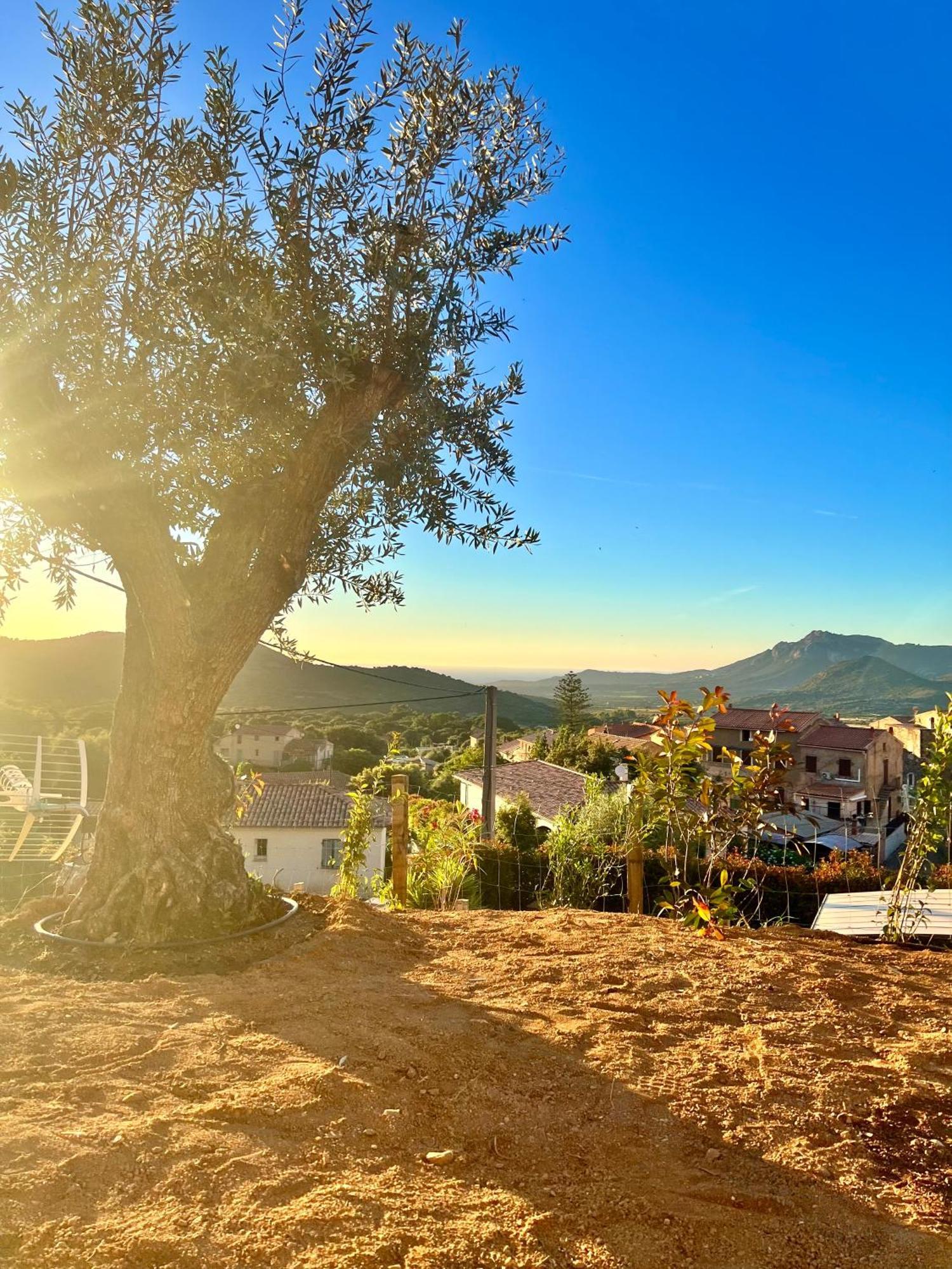 Bella Vita Calenzana Esterno foto